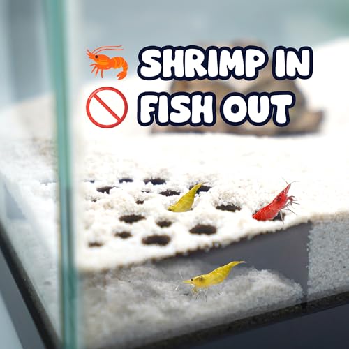 Image of CTWPets Shrimp Breeding Protection Set, 3-Pack Bundle with Hide Dome, Half Protector, Breeding Protector (Black)