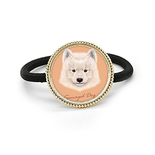 Élastique en caoutchouc pour Samoyède anti-glisse avec bague métal argenté