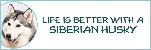 Life is Better with a Siberian Huskies Bumper Sticker,2