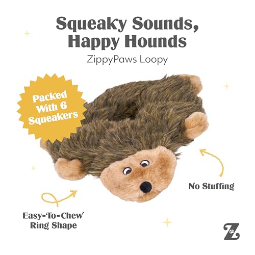ZippyPaws Loopy – Igel Hundespielzeug – Füllungsfrei, Mit 6 Quietschern, Strapazierfähiges Plüschspielzeug für Kleine bis Große Hunde, Interaktives und Kuscheliges Spielzeug für Haustiere