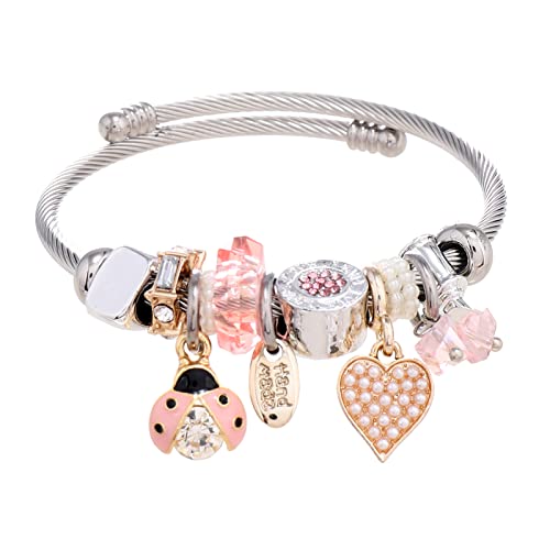 DS Charm Bracelets for girls,exquisite cute cartoon friendship bracelets Silver Stainless Steel Bangle with birthday Gift box, Adjustable girls jewelry Suitable for holiday gifts