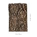 SEWACC 2pcs Natural Cork Bark Bits Reptile Bark Bedding Flat Cork Bedding Terrariums Substrate for Snake Spiders Bearded Dragons Frogs Tank Supplies