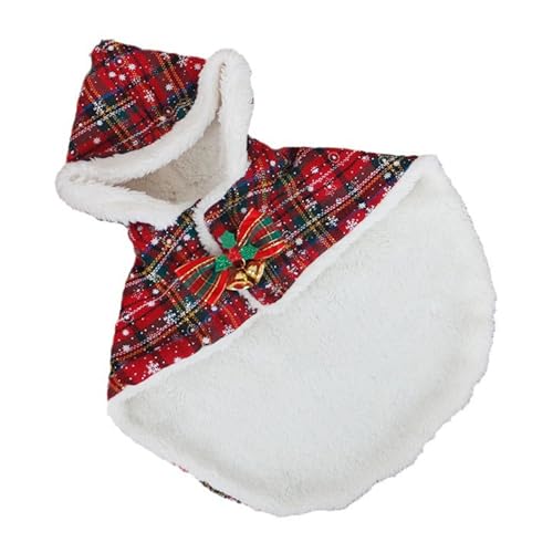 LP[vRX`[ ߑ Xq q ybg p}g hX ^p L(S)