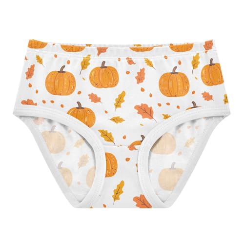 Fall Pumpkin Thanksgiving Autumn Toddler Girls's Underwear 2T 202b7147