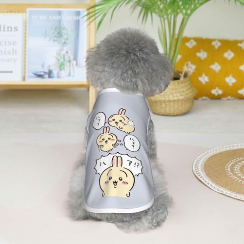 ���̕� �������� ������ �^���N�g�b�vT�V���c �y�b�g�� �y�b�g�E�F�A �t�ĕ� �h�b�O�E�F�A ������� ���킢�� �y�� �ʋC�� �L�k�� ���E�ȒP ���Ă��~�� �X�|�[�c�� �����^�� �o�|���p ���U�� �L�O�B�e �v���[���g