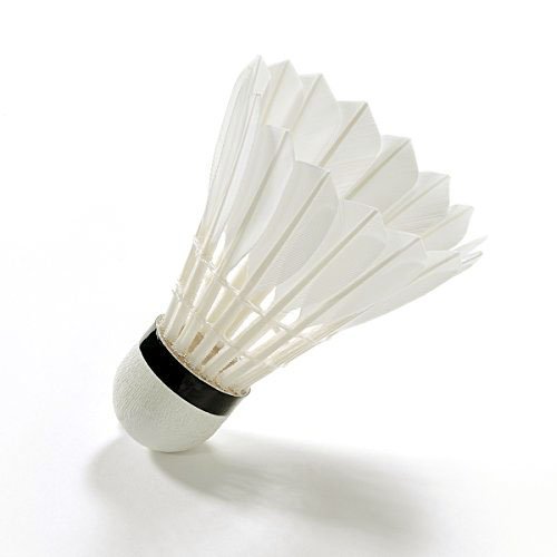 AZITEKE Advanced plumes d'oie volants de volants de badminton de haute qualité, en intérieur ou extérieur Sports d'entraînement de badminton Balles avec une grande stabilité et durabilité, LING-MEI5