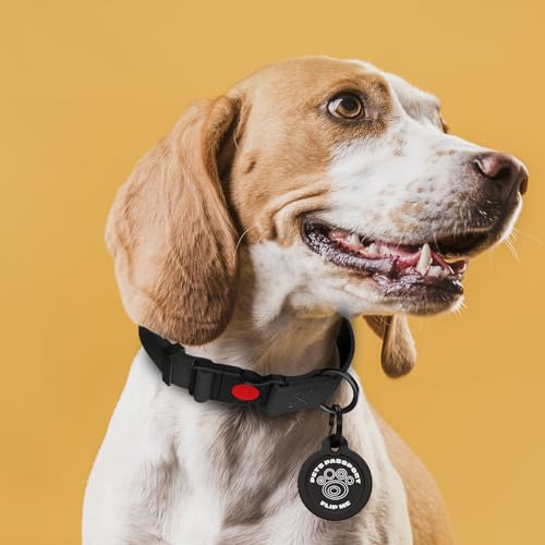 NexaPaw QR-Code-Marke für Haustiere - Reisepass - 1 Stück