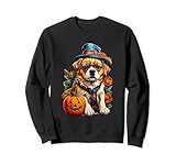 Dolcetto o scherzetto, cucciolo, cane, animale, bestia, migliore amico dell'uomo, famiglia, bambini, animale domestico, Halloween, Caramelle, fantasma, demoni,