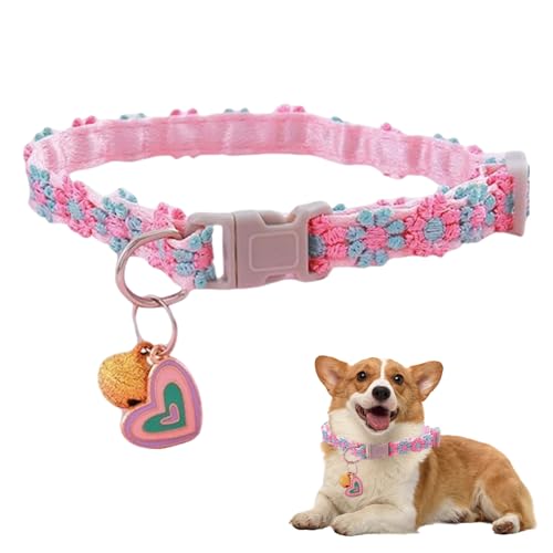 tL AqL | xtqLpS - YL qp̃xƈSobNt pS ybgpi Jtȃ[X̉Ԃ xLƎq