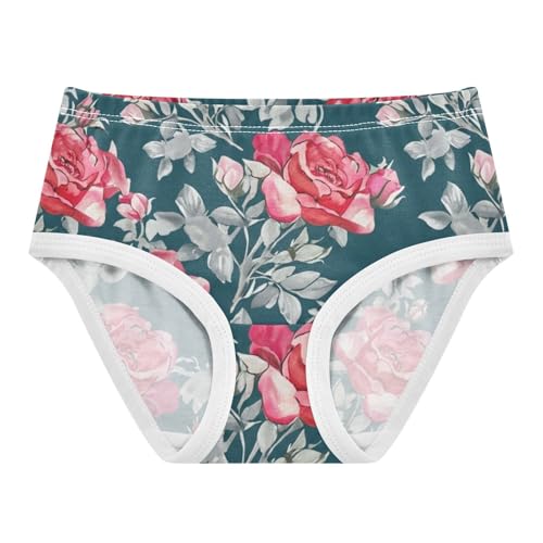 Cotton Girls Underwear Toddler Pink Roses Gray Leaves Dark Teal Little Girl Panties Aesthetic Undies Kids Briefs 2t