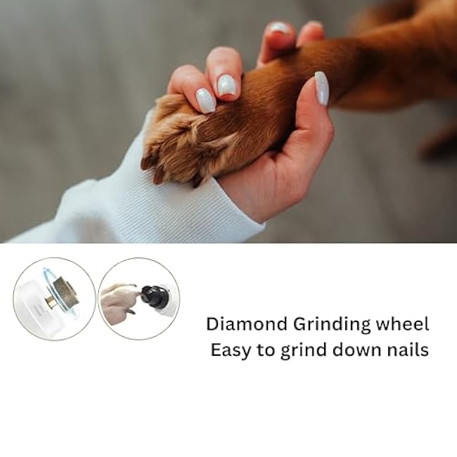 GajetNest Professional Pet Nail Grinder for Dogs and Cats, 2 Speeds LED Light USB Charging Low Vibration, Quiet, Cordless Ergonomic Long Lasting Battery, Safety Guard-3kCYGxbO