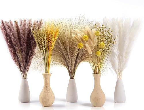 Sosayet Pampas Secas Decoracion, 100 Piezas Flores Secas Naturales 40-44 cm, Ramos de Flores Secas Naturales Decoración para el Hogar, Hierba de Pampa Esponjosas para Decoracion Boho Fiestas Bodas - imagen 6