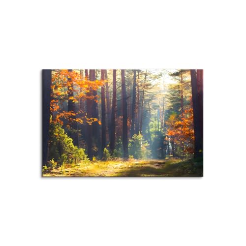 ���R �z�[������ �ؘg�t���̊����i ���i�� �|�X�^�[ ���i �H �G�� �g�t �H�̖� �H�̗t �H�F ���݂� �A�[�g�p�l�� ������ ���_�� ���ւɏ��� �L�����o�X�G�� �Ǌ|�� �������� (60x90cm�i24x36in�j,B)