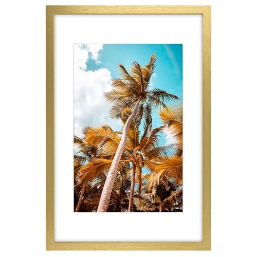 Image of Frametory, 16x24 Picture Frame with Mat for 12x18 Picture - High Definition Glass Wide Molding - Preinstalled Wall Mounting Hardware (Gold, 1 Pack)