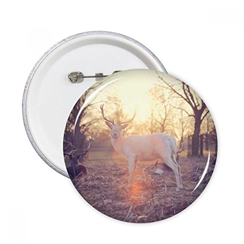 Badge bouton sciences forestières mouton pour customiser un vêtement basique