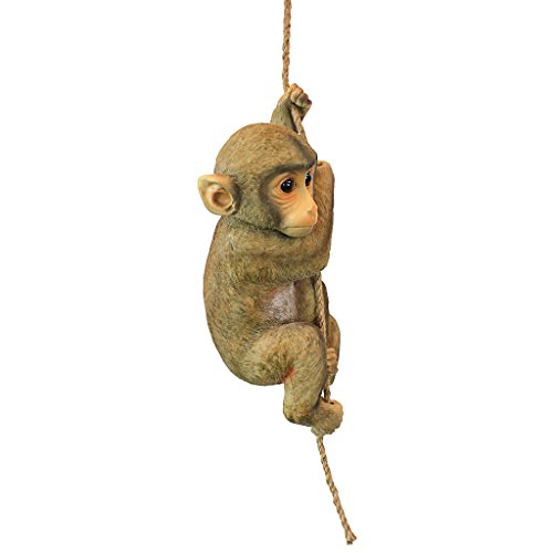 Design Toscano Chico the Chimpanzee Baby Monkey Hanging Statue for Indoor/Outdoor, Brown Painted Cast Stone Resin, 16 Inch Long, Outdoor Garden Decoration