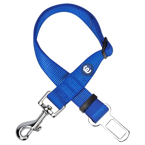 Blueberry Pet Dog Leash - Puppy Essentials & Heavy Duty Dog Leashes for Large Dogs, Safety Tether for Dogs & Cats, Royal Blue, 2
