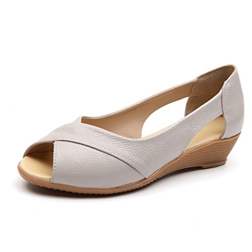 [XYJP] JV TCY fB[X 26.5cm y [t@[ ɂ Vv x[W t@bV JWAV[Y _炩 傫TCY  tbg wlC L ʋC ₷ d