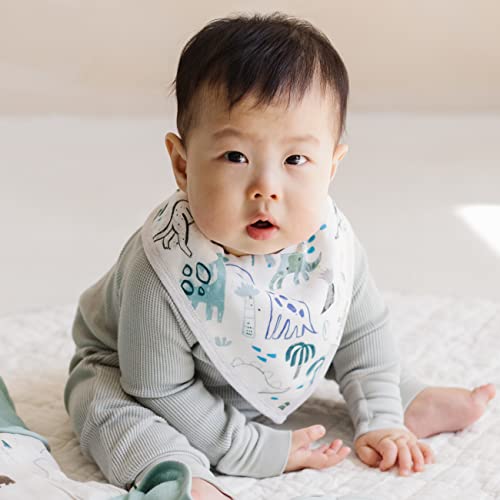 Loulou Lollipop Soft Breathable And Absorbent Muslin Bandana Bib Drool Bib Set For Baby Girl And Boy, Adjustable 3 To 36 Months, 2 Pack - Dinosaurs #TOP3