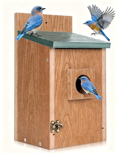 Gtongoko Recycled Plastic Bird Houses for Outside Clearance 1-1/2" Entrance Hole Blue Birdhouses for Outdoors with Air Vents Green & Brown Nesting Box for Bluebird Swallows Finches Chickadee 1 Pack