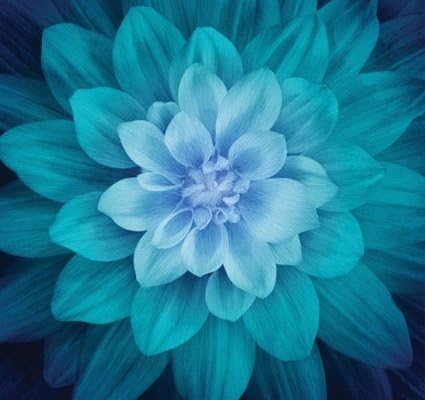 Hoffman Dream Big Digital Flower Panels - P4389 21 Teal Panel 43"X43" Fabric