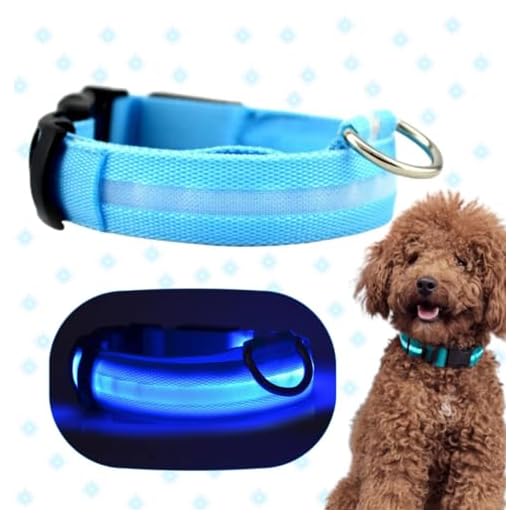 Collar Luminoso para Perro Pequeño, Mediano y Grande, 3 Modos Perros Noche, Recargable, Ajustable y Resistente al Agua. Collar Elegancia y Seguridad con Leds Luminosos. (S 34-44cm)