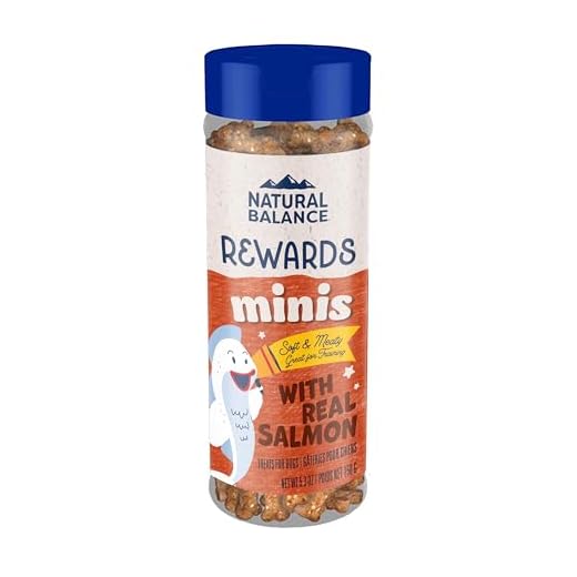 Natural Balance Limited Ingredient Mini-Rewards Salmon Grain-Free Dog Training Treats for Dogs | 5.3 Ounce Canister