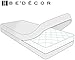 Bedecor Zippered Queen Mattress Protector Cover for 10