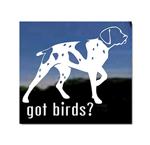 Got Birds? ~ German Shorthaired Pointer Vinyl Window Auto Decal Sticker
