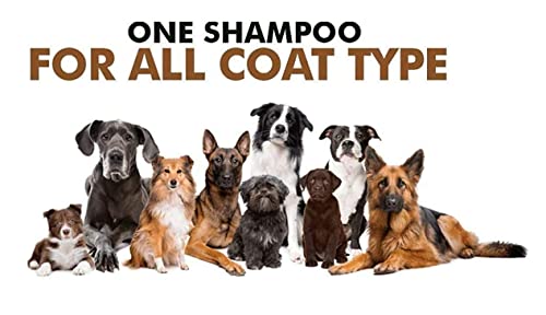 Image of Dog Shampoo | Ditch to Itch & Dog Anti Dandruff Shampoo - (500ml)| Dog Shampoo for Labrador and Golden Retriever| Pet Shampoo for Dogs| Shampoo for Dogs(Combo of 2)