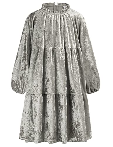 Danna Belle Girls Silver Velvet Dress Long Sleeve Party Special Occasion Holiday Dress 5-6