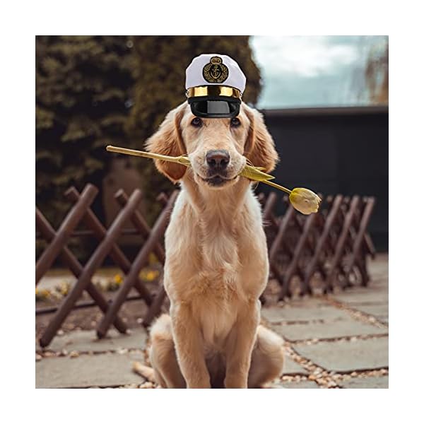 Amosfun pet captain's hat sailors sea captain white captain hat dog cat puppy sailor halloween cosplay costume hat 5. 3 inch - image 7