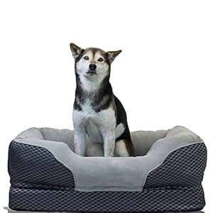 BarksBar-Snuggly-Sleeper-Medium-Gray-Diamond-Orthopedic-Dog-Bed-with-Solid-Orthopedic-Foam-Soft-Cotton-Bolster-and-Ultra-Soft-Plush-Sleeping-Space-32-x-22-Inches Medium Gray Diamond Orthopedic Dog Bed