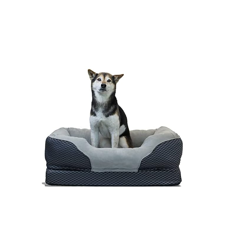 Ergonomic Dog Bed Buy Online