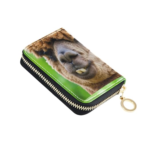 Funny Alpaca fB[X z U[ 킢 J[hz_[ z RFIDubN ^ s z RC|Pbgt