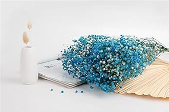 YIWOYI Natural Dry Flower Gypsophila Fresh Dried Preserved Flowers Gypsophila Paniculata Breath Flower Bouquets For Wedding Party Home Dekoration (Pink,15-30cm20g)