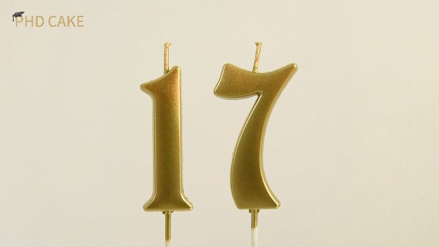 PHD CAKE 10-Count 0-9 Silver Number Birthday Candles, Number One Birthday, Silver Number Candles, Party Celebration, Baby Showers