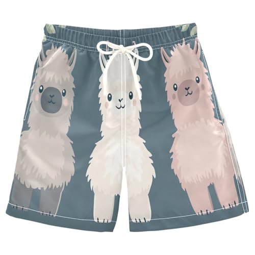 Boys Beach Board Shorts Cute Alpaca Sheep Cartoon Swim Trunk Teen Swimwear 8-16Y Multicolor