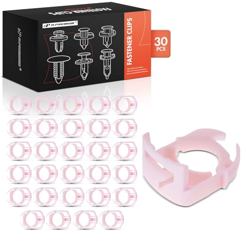 Attaches à clip en nylon pour Ford F-150 et Lincoln Mark LT lot de 30 pièces