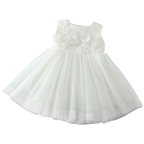 Newborn Baby Girls Sleeveless Embroidered Flowers Christening Gown Layered Tulle Baptism Dress White Size 18M