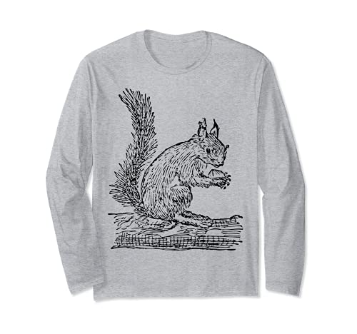Écureuil mangeant Manche Longue