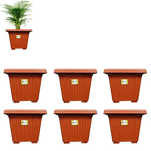spylark Premium First Smart Plastic Square Pot Set (8-inch)(Pack of 6) (B08D7KNV7P) Amazon Price History, Amazon Price Tracker