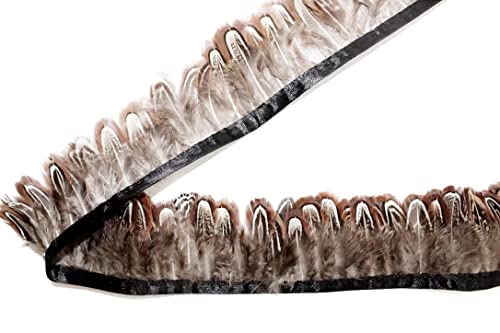 Natural Ringneck Pheasant Feather Trim Fringe,2 Yard LongAccessories Feather DIY Decorative (001)
