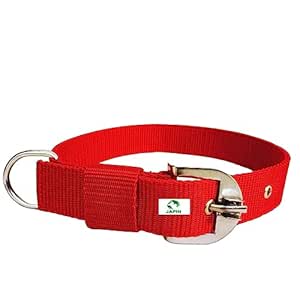 Buy JAPIN Polyester Collar for Dog, Red (25mm),Pack of 1 Online at Low