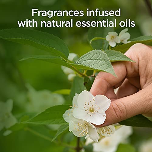 Air Wick| Eucalyptus|Air Freshener Air Spray |Pack of 4 - Image 5