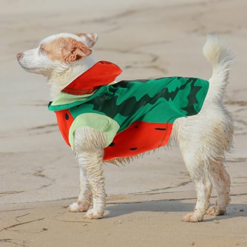 Disfraz de Sandía para Perro XL Tela Suave Algodón miniatura 2