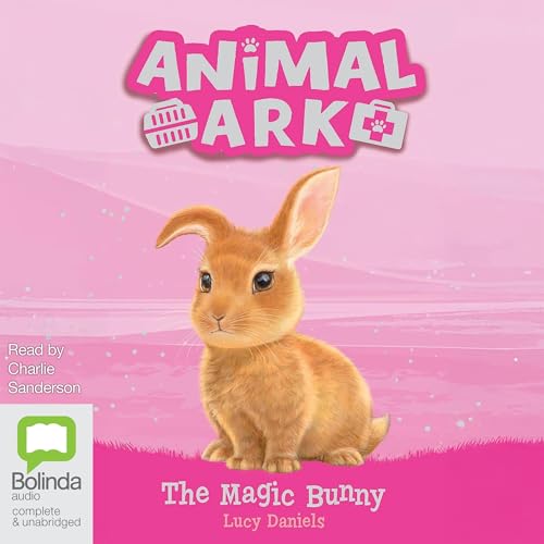 The Magic Bunny by Lucy Daniels episode artwork