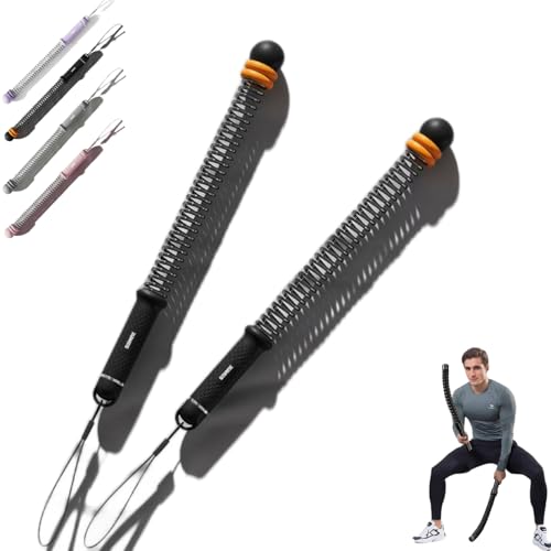 DZANNC ロープレスバトルロープ 筋トレグッズ【静音設計＆コンパクト】自宅トレーニング用 コードレスバトルロープ 高耐久スチール構造 全身運動 筋力/体幹トレーニング対応 男女兼用 ホームジム フィットネス器具