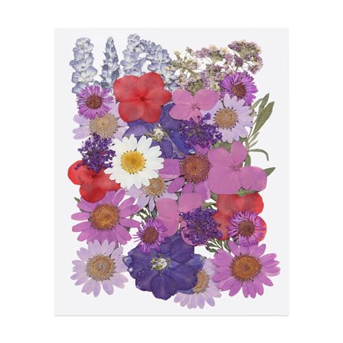 Hojas de flores secas prensadas PATIKIL 38 piezas miniatura 1