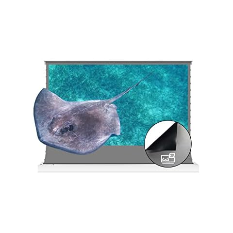 VIVIDSTORM-3D Long Focus Ambient Light Rejecting Screen Material, Motorized Floor-Rising Projection Screen,Compatible with Lumen up to 1800ANSI of Ordinary Projector,VWSDSTALR120H-3D Cover